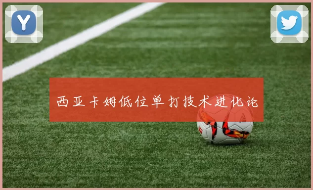 西亚卡姆低位单打技术进化论