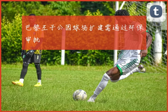 巴黎王子公园球场扩建需通过环保审批