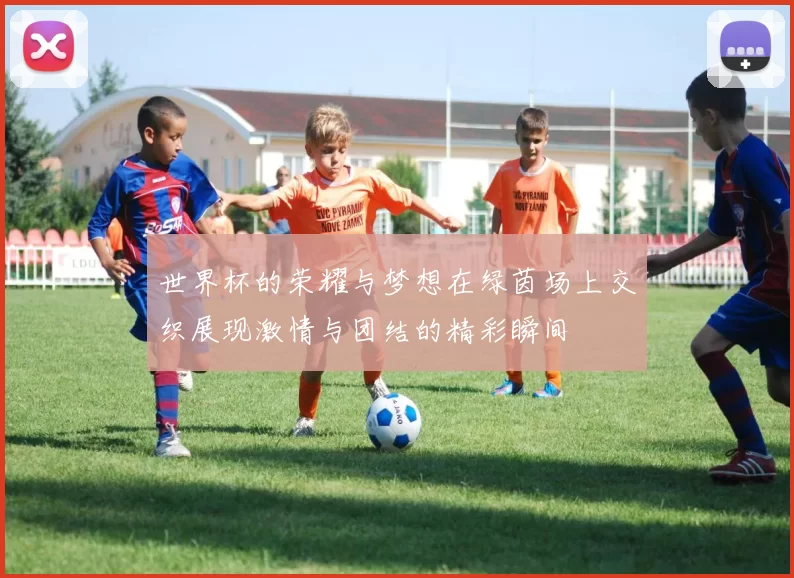 世界杯的荣耀与梦想在绿茵场上交织展现激情与团结的精彩瞬间