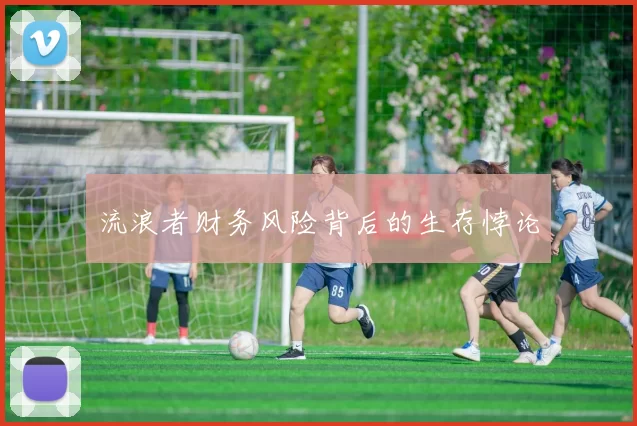 流浪者财务风险背后的生存悖论
