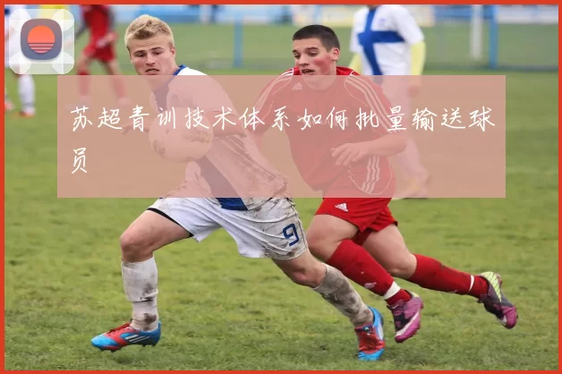 苏超青训技术体系如何批量输送球员